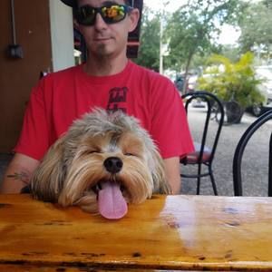 Meet your Posher, Paul